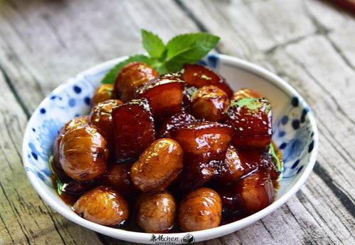 红烧肉的材料，红烧肉需要哪些调料