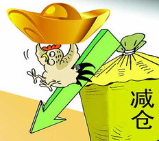 炒基金，炒基金是什么意思