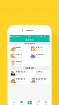 猫咪官方社区app官网