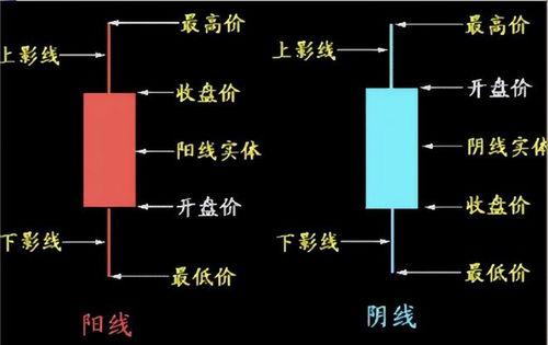 形态各异是什么意思，形态各异是什么意思近义词是什么
