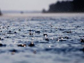 梦见下，梦见下雪