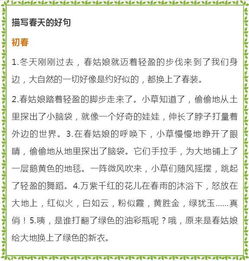 好词好句怎么写，好词好句怎么写三年级上册