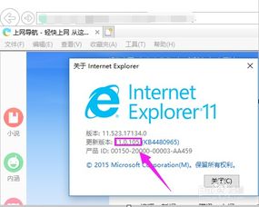ie版本过低怎么升级，ie版本过低怎么升级推荐9.0