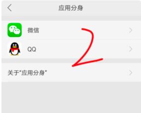 oppor9s双微信