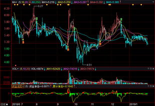 深振业a股票，深振业a股票股吧