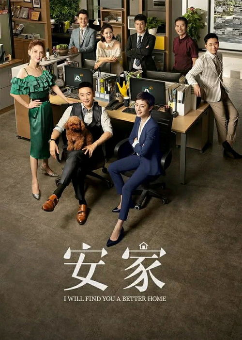 安家集数，安家总共多少集呢?