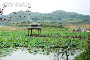 梦见世外桃源般的美景，梦见世外桃源般的美景预示着什么