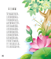 十二月花，十二月花神