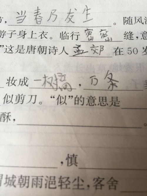 什么似的什么