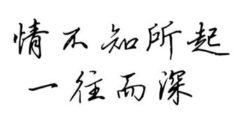 情怎么写，情怎么写才好看