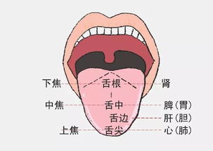 舌头痛怎么回事，舌头痛是什么问题