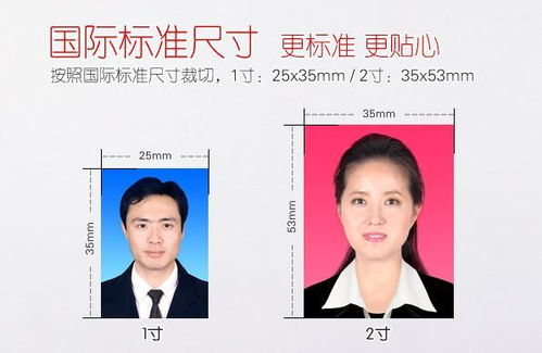 一寸照片大小，一寸照片大小像素
