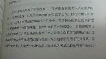 优美环境描写句子摘抄