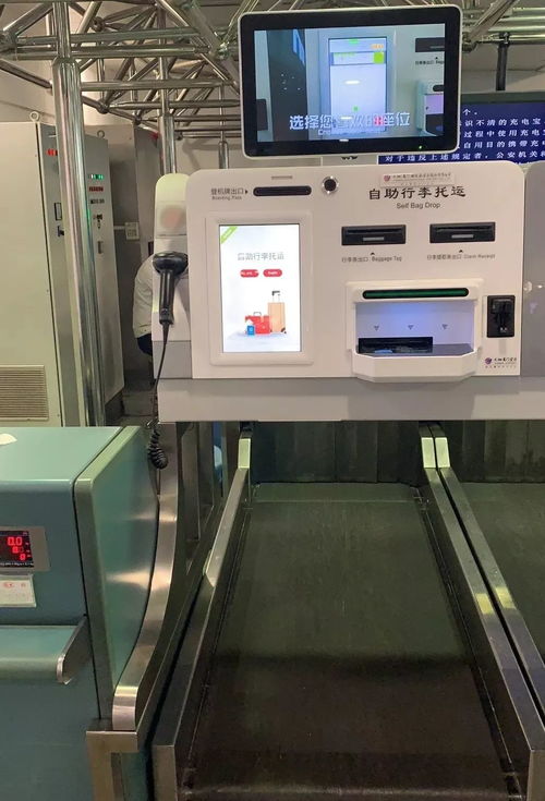 电子登机牌怎么托运行李，电子登机牌怎么托运行李白云t2
