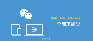 手机网站开发语言，手机网站开发语言是什么