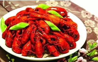 小龙虾培训，小龙虾培训学校哪家好
