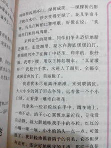 周记四百字，周记四百字作文