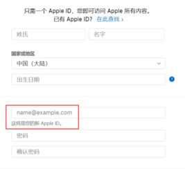 苹果id账号格式，苹果id账号格式icloud