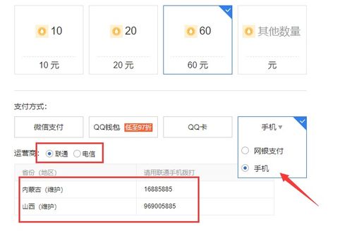 运营商电话是多少?