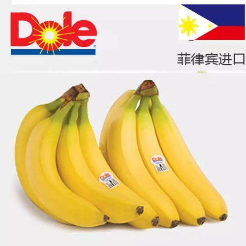 大香蕉伊在线81蕉