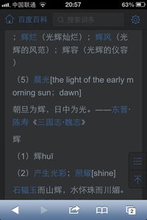 “辉”是什么意思?