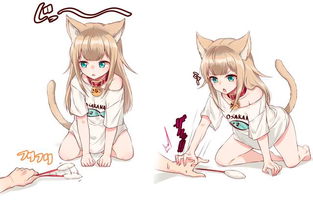 妙喵娘，妙喵娘怎么样