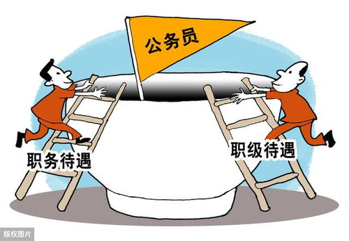 正科职,正科级,主任科员这些的区别?