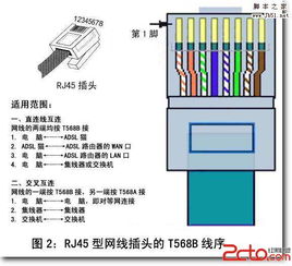 线序网线，网线排线顺序