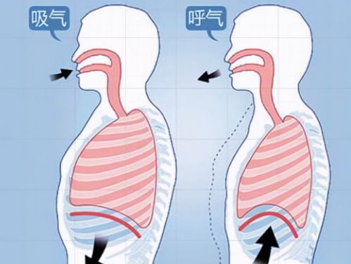 什么是腹式呼吸?如何进行腹式呼吸?