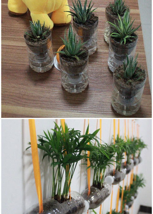 矿泉水瓶做花盆，矿泉水瓶做花盆图片