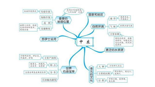 求初中思维导图全集