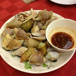 大海螺煮多久，大海螺煮多久能熟透