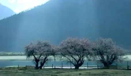 千山万水的意思