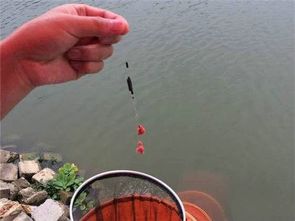 子线多长合适，野钓子线多长合适