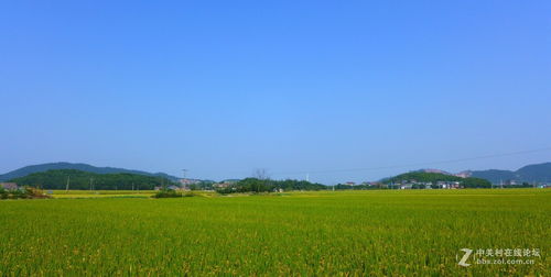 诺基亚7610怎样把存储卡里的mp3歌曲设置为铃声?