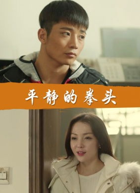 平静的拳头介绍，平静的拳头评价