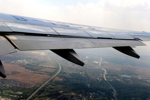 飞机机翼一般在第几排，中型飞机机翼一般在第几排