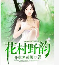 老司机小说