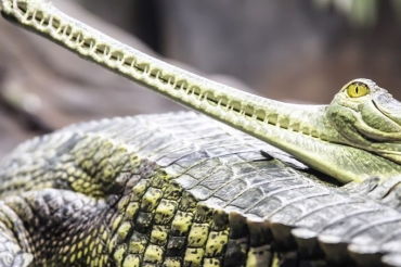 梦到结婚没结成是什么意思，梦到结婚没结成是什么意思,男的得了绝症