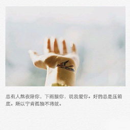 “原谅我这一生放浪不羁爱自由”是哪首歌里的?