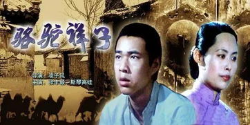 骆驼祥子第十七章，骆驼祥子第十七章主要内容