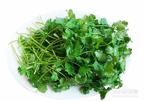 香菜的功效与作用禁忌，香菜的功效与作用禁忌男人吃香菜