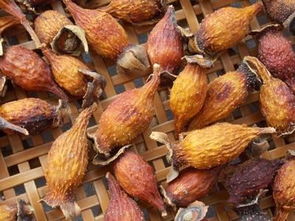 草果在调料中的作用，草果在调料中的作用与用量