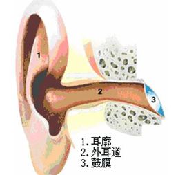 迷路炎，迷路炎怎么治疗