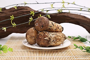 松茸菌图片，松茸菌图片欣赏