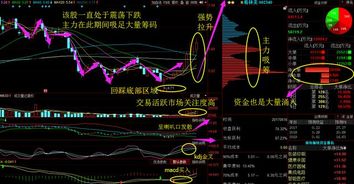 石墨烯电池第一龙头股，石墨烯电池第一龙头股碳元科技