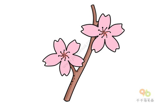 樱花怎么画，樱花怎么画简笔画又漂亮