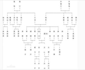 叔叔的老婆怎么称呼，叔叔的老婆怎么称呼客家话