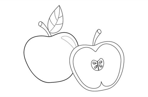 苹果的简笔画怎么画，苹果的简笔画怎么画?