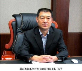 罺，罺是什么意思
